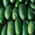 Cucumber Nature’s Hydrator