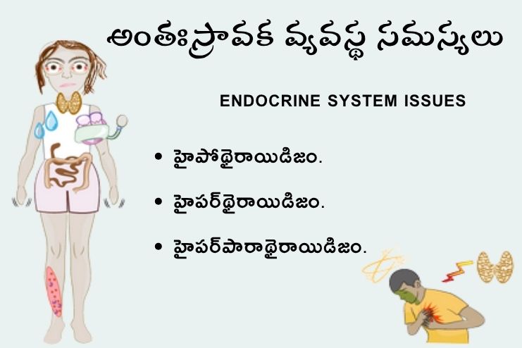 Endocrine system issues