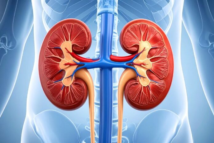 Foods are bad for kidneys