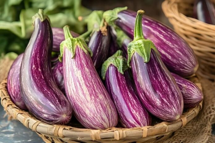 Health Benefits of Eggplant You Need to Know