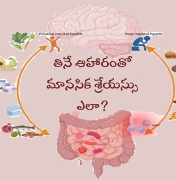 మానసిక శ్రేయస్సును తినే ఆహారం ఎలా నిర్దేశిస్తుంది? How Your Microbiome Dictates Your Mental Well-Being