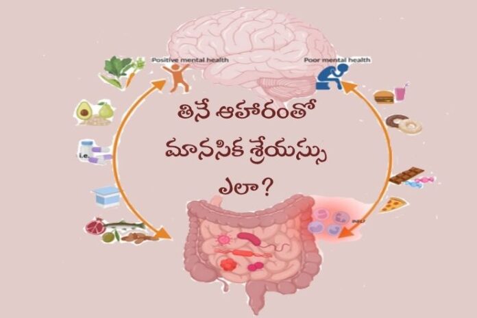 How Your Microbiome Dictates Your Mental Well-Being