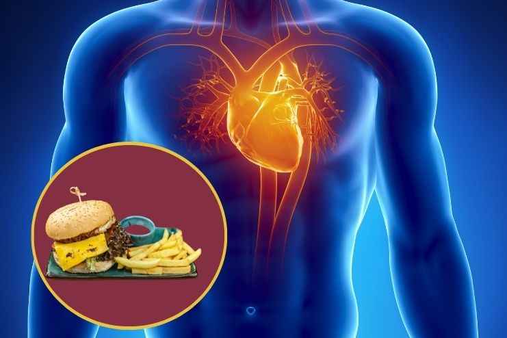 How ultra-processed foods impact health 2