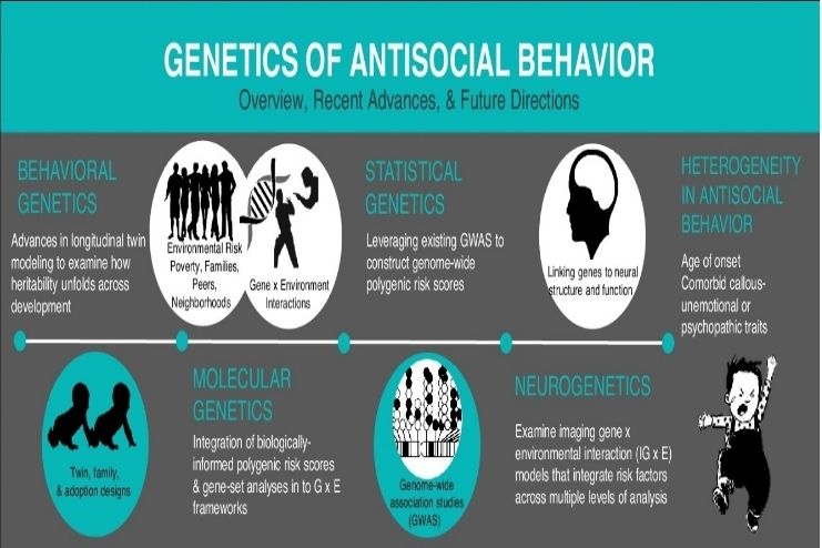 Is antisocial personality disorder genetic