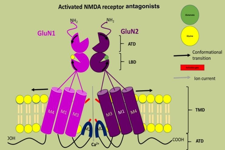 NMDA antagonists