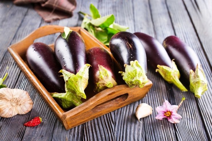 Nasunin and iron absorption