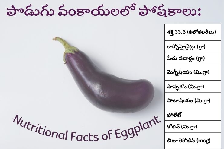 Nutrition of Eggplant