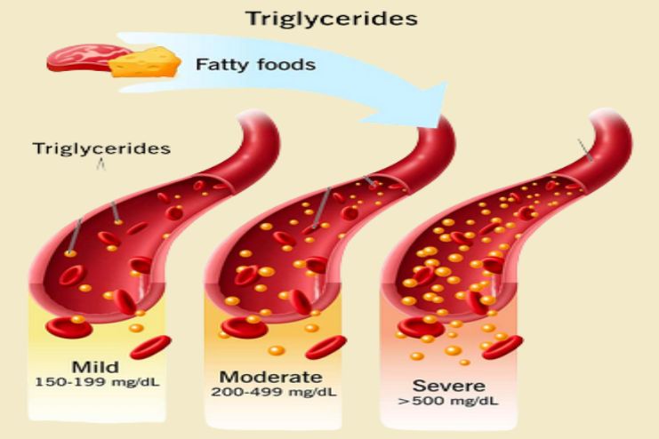 Positive effects on blood pressure, triglycerides