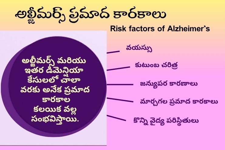 Risk factors of Alzheimer’s