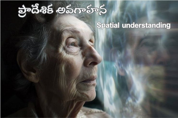 Spatial understanding