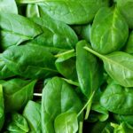 Spinach A Nutrient-Rich Hydration Booster