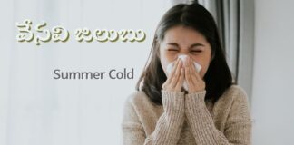 వేసవి జలుబు: కారణాలు, చికిత్స మరియు నివారణ - Summer Colds: Symptoms, Treatment, and Prevention Summer Colds_ Symptoms, Treatment, and Prevention