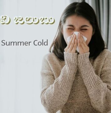 వేసవి జలుబు: కారణాలు, చికిత్స మరియు నివారణ Summer Colds_ Symptoms, Treatment, and Prevention