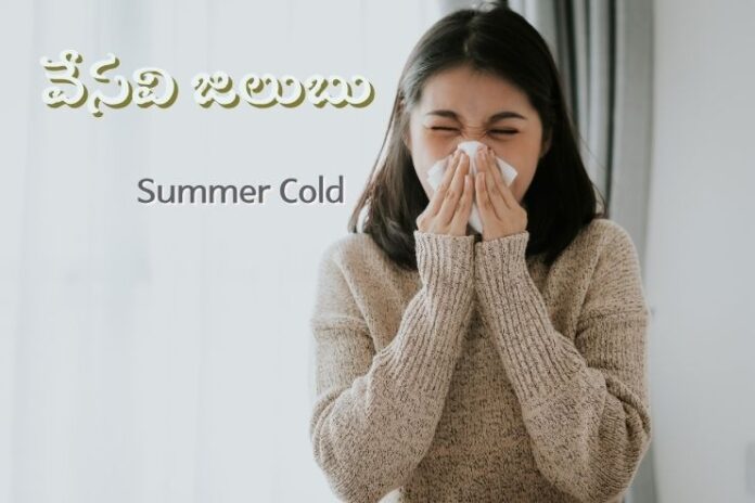 Summer Colds_ Symptoms, Treatment, and Prevention