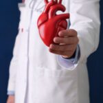 Supports Heart Health
