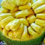 jackfruit benefits