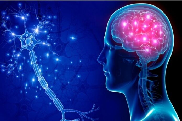 CNS Lymphoma_ Symptoms, Causes, and Treatment CNS Lymphoma_ Symptoms, Causes, and Treatment