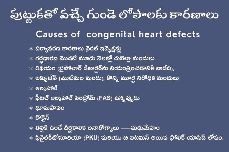 Causes Congenital heart defects in children