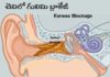 చెవిలో గులిమి బ్లాకేజీ: లక్షణాలు, కారణాలు, తొలగింపు పద్ధతులు Earwax Blockage_ Signs, Causes