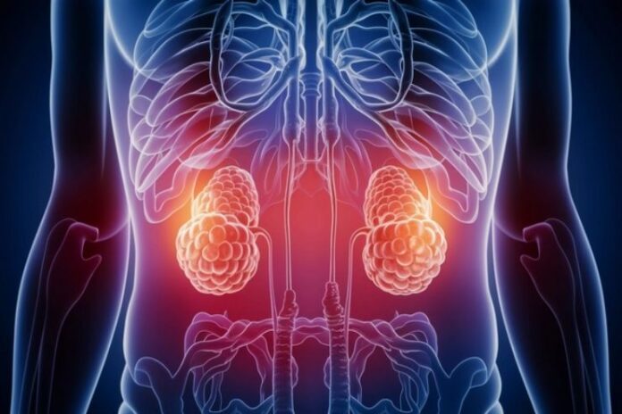 CAH_ Causes, Symptoms and Treatment
