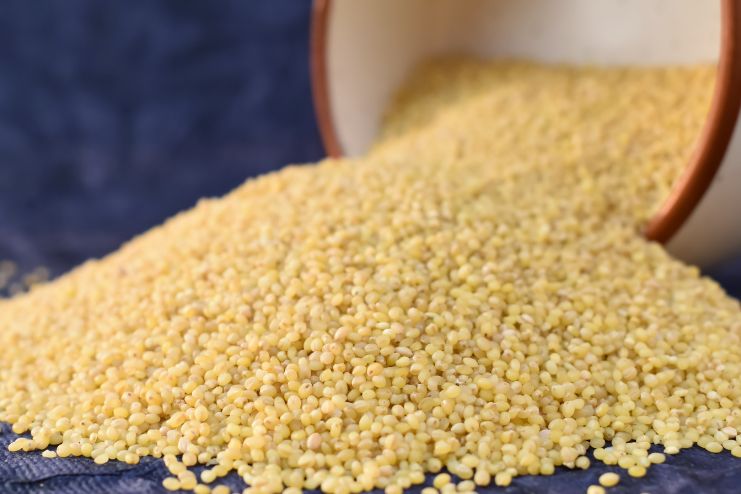 Kodo Millet