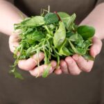 Leafy Greens for Key Nutrients