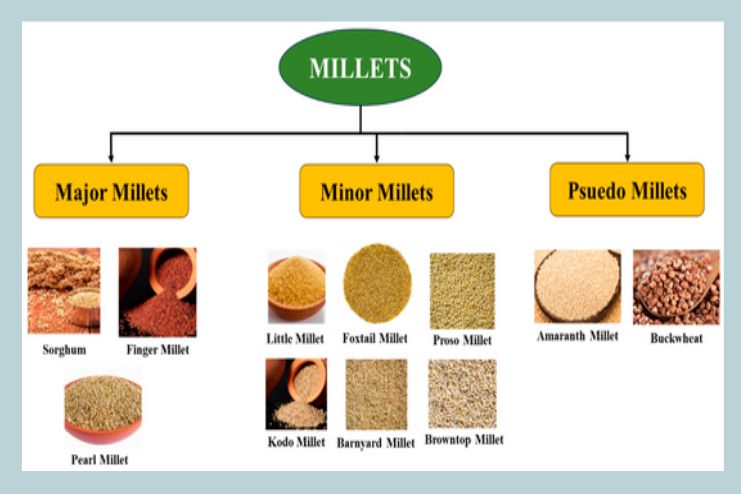 Millets_ India’s Climate-Friendly Supergrain