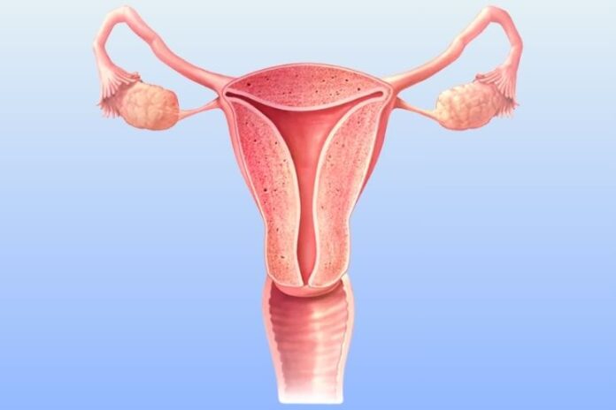 What Is Cervicitis What Is Cervicitis
