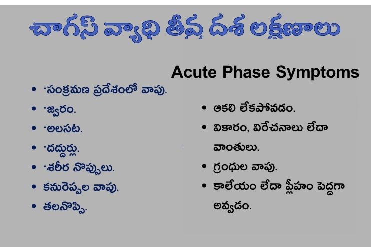 Acute phase