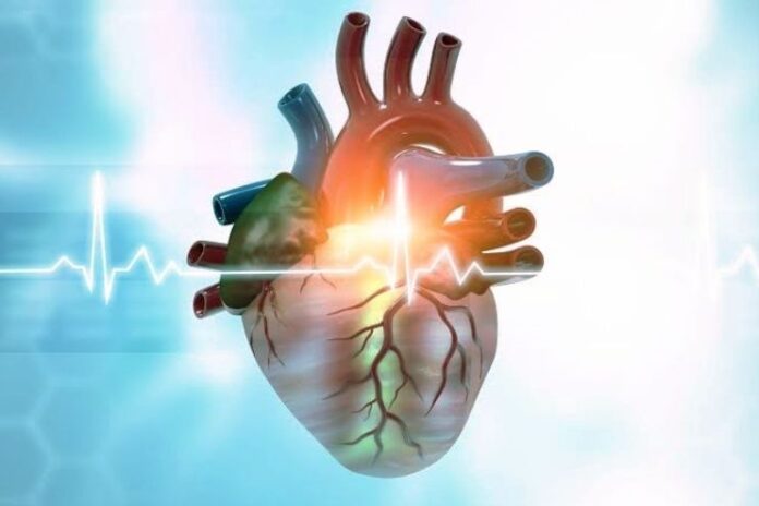 Cardiogenic Shock_ Symptoms You Must know Cardiogenic Shock_ Symptoms You Must know