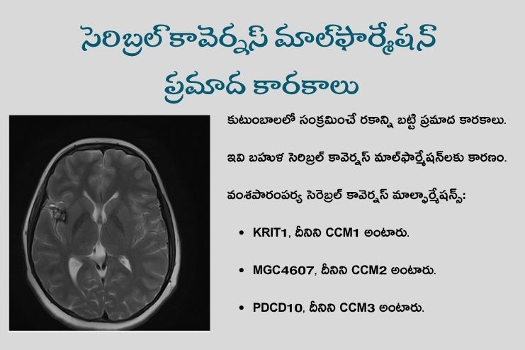 Risk factors of CCM
