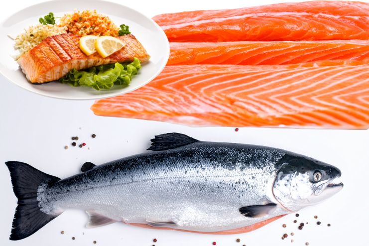 Salmon