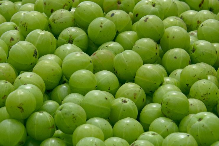 amla