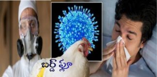 బర్డ్ ఫ్లూ: కారణాలు, లక్షణాలు, నివారణ - Bird flu (Avian Influenza): Causes, Symptoms and Prevention Bird flu_ Causes, Symptoms