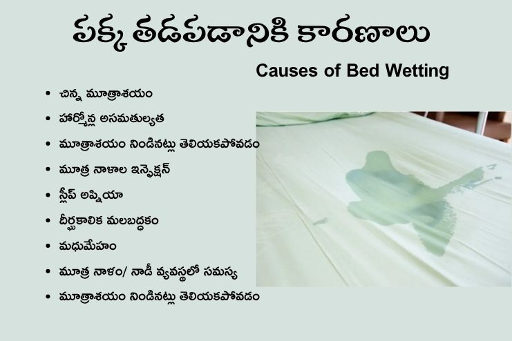 bedwetting Causes