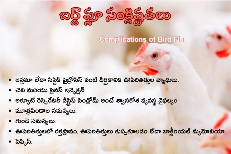 Complications of Bird Flu