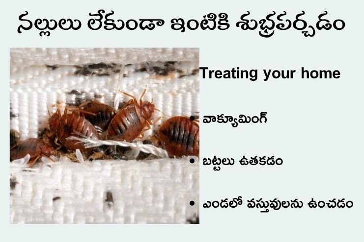 Treating your home