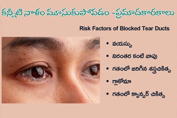 Risk Factors